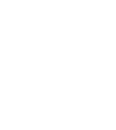 XLV-final-nuevo