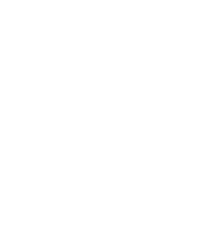 XLVIII-2025